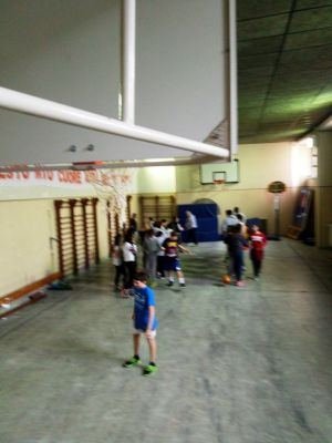 P80306-114721