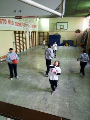 P80306-120210
