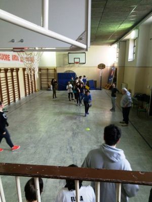 P80306-122303