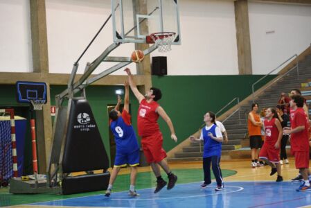 SCN_2431