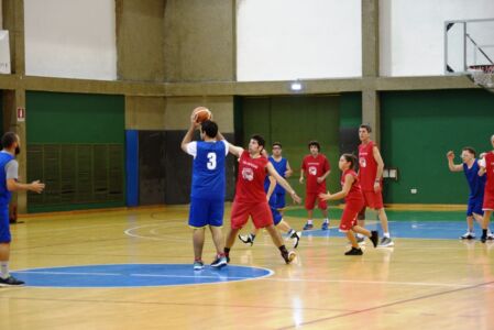 SCN_2451