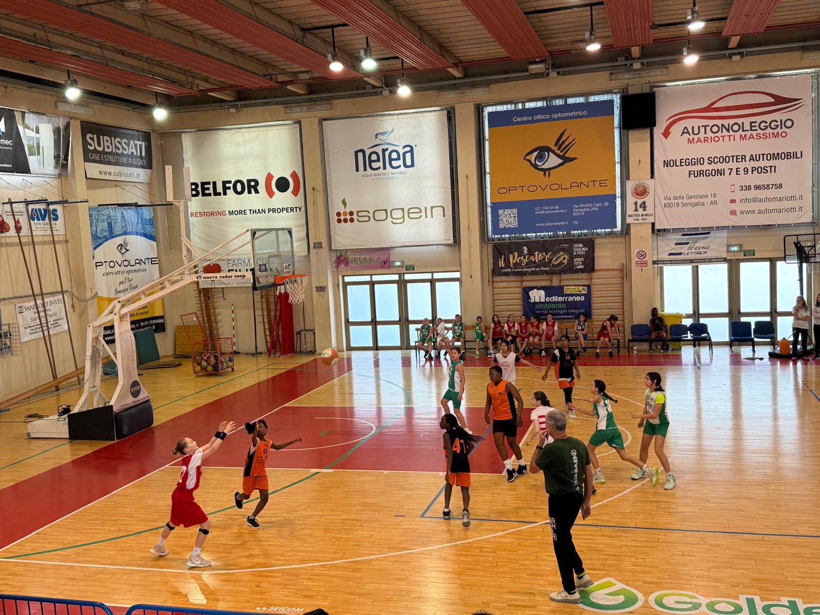 17 Maggio 2026 Una domenica da vere “Orangine”!